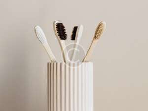 Brush Holder
