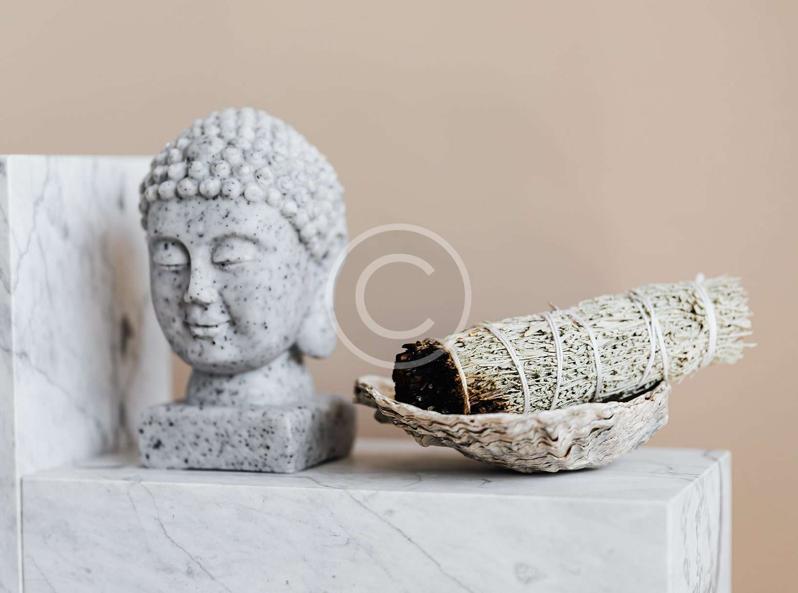 Tooth Powder 4 Tooth Powder - الصورة 4